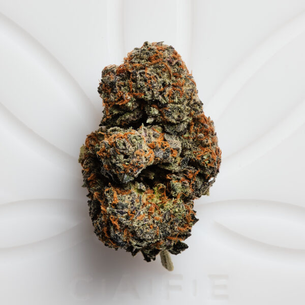 Gary Payton – Diesel-Earth Aroma, Premium Strain with Robust Flavors, Delivered Worldwide from San Diego, CA