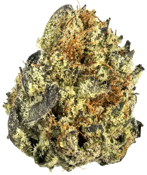 Wedding Cake – Sweet, Doughy Cannabis Strain for Relaxation, Stress Relief, and Sleep Support, Delivered Worldwide from San Diego, CA