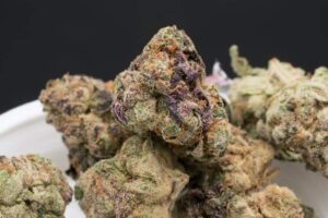 Apple Fritter Strain – Premium Cannabis Flower Shipped Worldwide