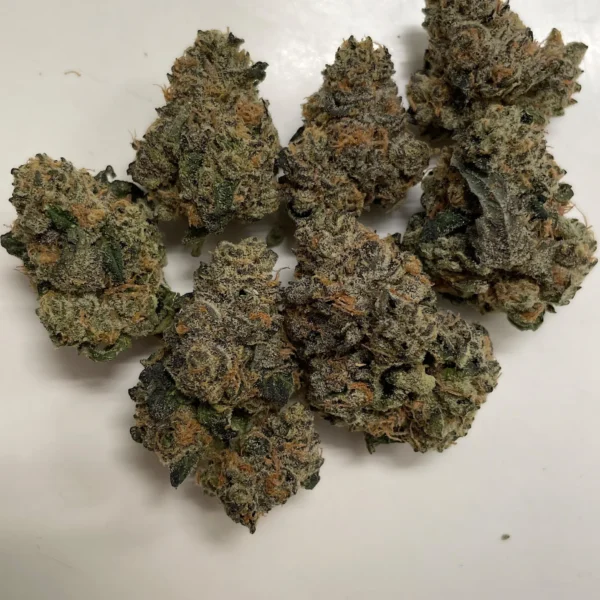 Buy Permanent Marker – Funky | Bold & Long-Lasting Ink | USA to Worldwide Delivery from San Diego CA